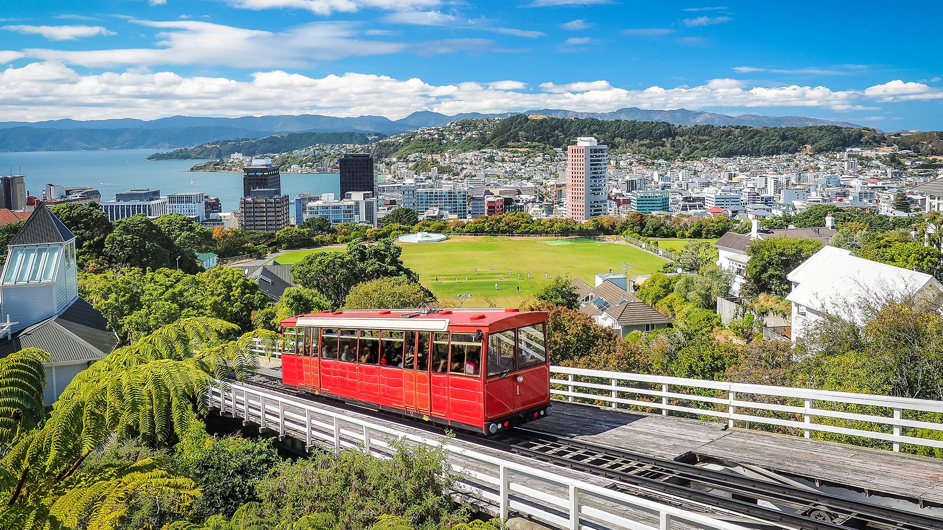 Cityscape, Wellington