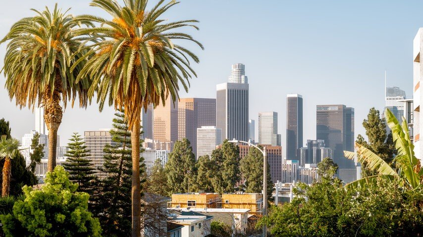 Palm trees with the LA skyline in the background