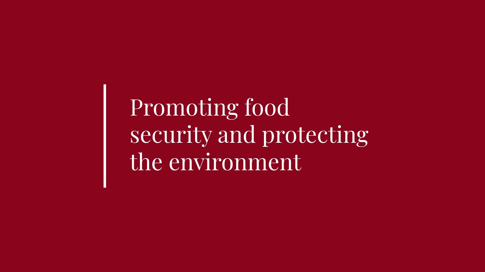 Red graphic that reads: Promoting food security and protecting the environment